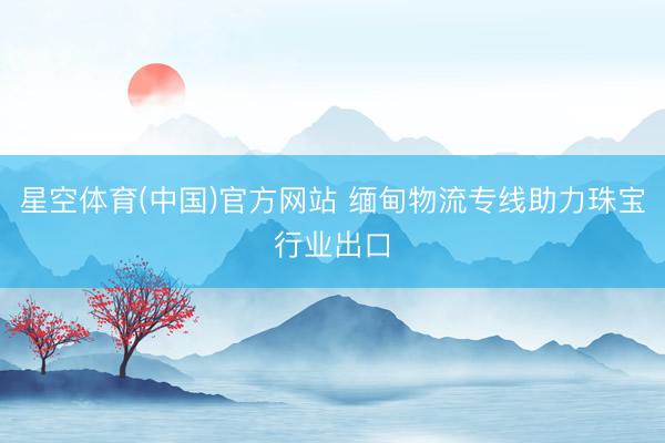星空体育(中国)官方网站 缅甸物流专线助力珠宝行业出口