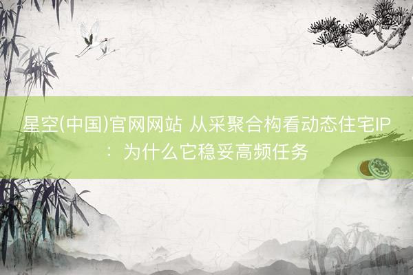 星空(中国)官网网站 从采聚合构看动态住宅IP：为什么它稳妥高频任务