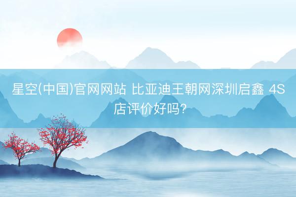 星空(中国)官网网站 比亚迪王朝网深圳启鑫 4S 店评价好吗？