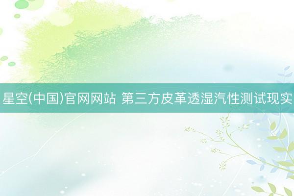 星空(中国)官网网站 第三方皮革透湿汽性测试现实