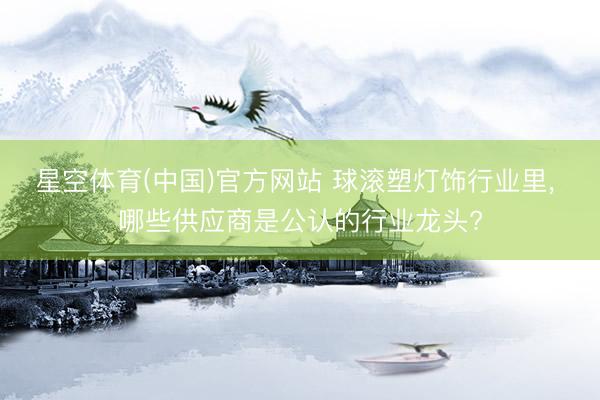 星空体育(中国)官方网站 球滚塑灯饰行业里， 哪些供应商是公认的行业龙头?