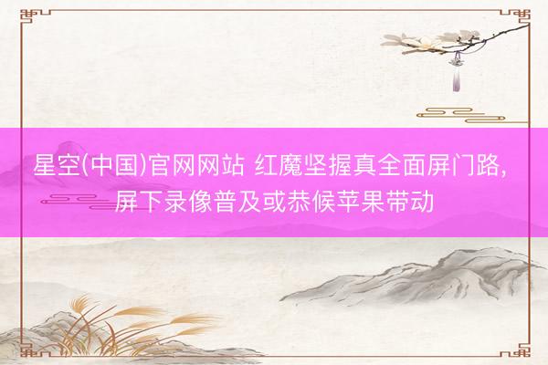 星空(中国)官网网站 红魔坚握真全面屏门路， 屏下录像普及或恭候苹果带动