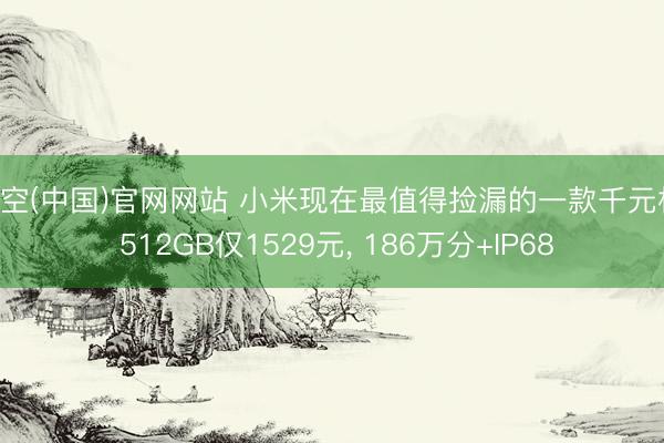 星空(中国)官网网站 小米现在最值得捡漏的一款千元机， 512GB仅1529元， 186万分+IP68