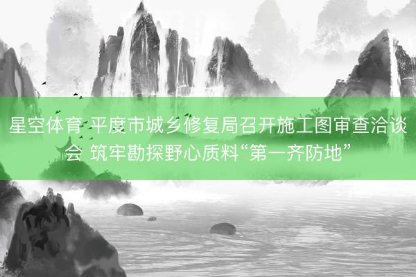 星空体育 平度市城乡修复局召开施工图审查洽谈会 筑牢勘探野心质料“第一齐防地”