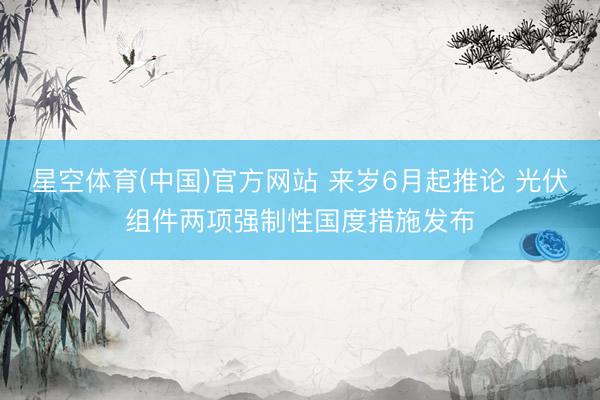 星空体育(中国)官方网站 来岁6月起推论 光伏组件两项强制性国度措施发布