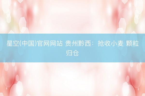 星空(中国)官网网站 贵州黔西：抢收小麦 颗粒归仓