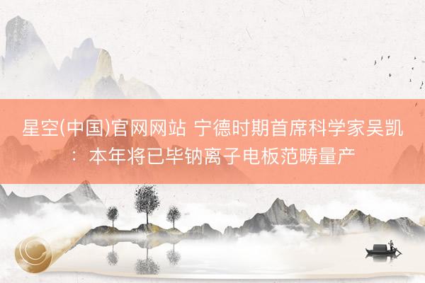 星空(中国)官网网站 宁德时期首席科学家吴凯：本年将已毕钠离子电板范畴量产