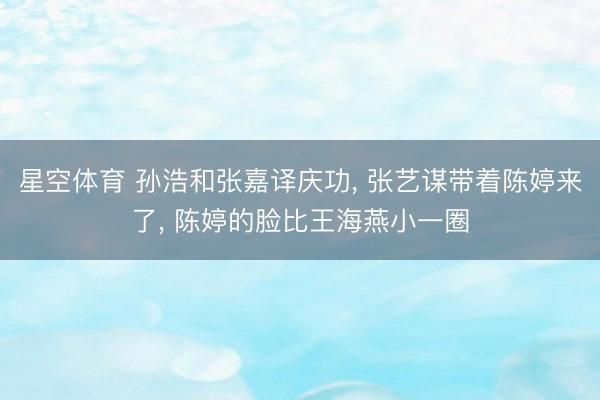 星空体育 孙浩和张嘉译庆功， 张艺谋带着陈婷来了， 陈婷的脸比王海燕小一圈