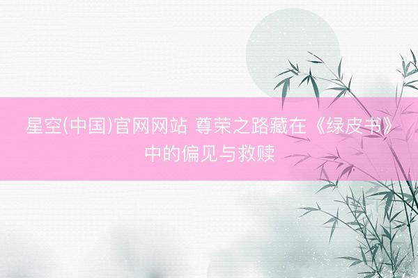 星空(中国)官网网站 尊荣之路藏在《绿皮书》中的偏见与救赎