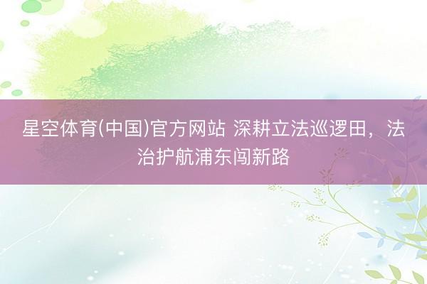 星空体育(中国)官方网站 深耕立法巡逻田，法治护航浦东闯新路