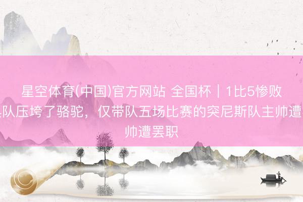 星空体育(中国)官方网站 全国杯｜1比5惨败瑞典队压垮了骆驼，仅带队五场比赛的突尼斯队主帅遭罢职