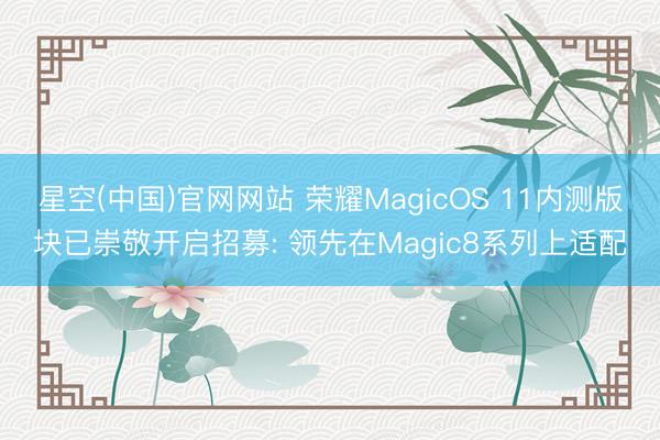 星空(中国)官网网站 荣耀MagicOS 11内测版块已崇敬开启招募: 领先在Magic8系列上适配