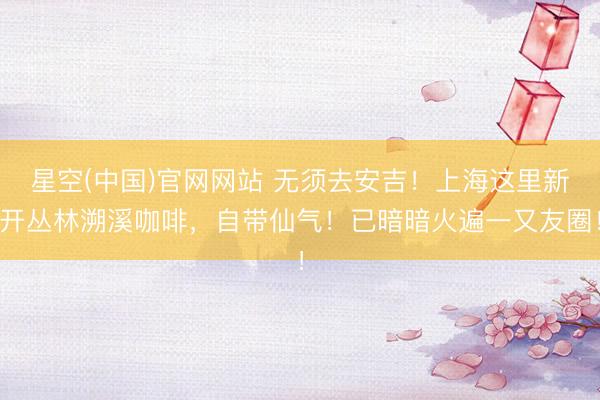 星空(中国)官网网站 无须去安吉!上海这里新开丛林溯溪咖啡,自带仙气!已暗暗火遍一又友圈!